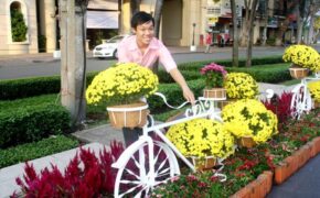 Teen Sài thành vui xuân sớm